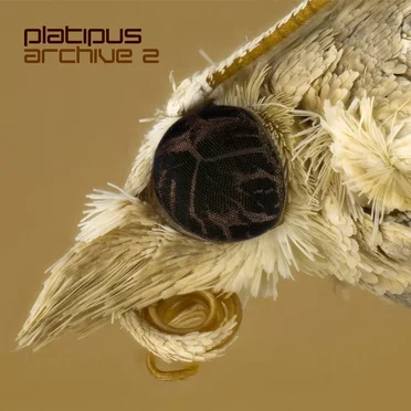 Platipus Archive 2 by Various Artists - album cover
