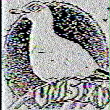 GULL (unisixn VIP) by unisixn - album cover