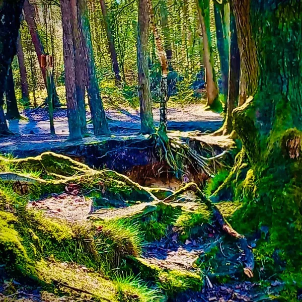 An AmRambient Trip Down Roomery Lane