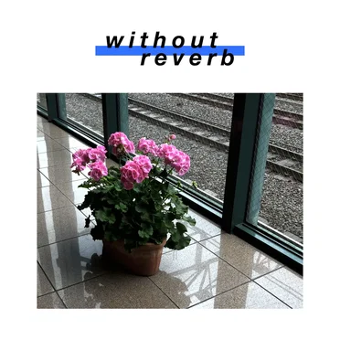 without reverb: Static by 高橋知秋 - album cover