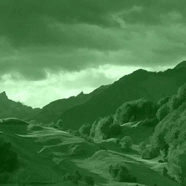 GREEN 3