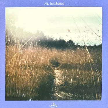 oh, husband by Poolside Curiosity - album cover