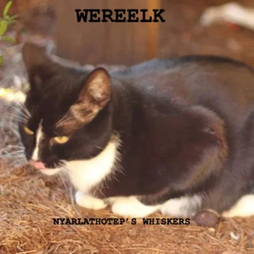 Wereelk