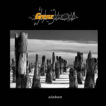 Grenzwellen Sieben by Various Artists - album cover