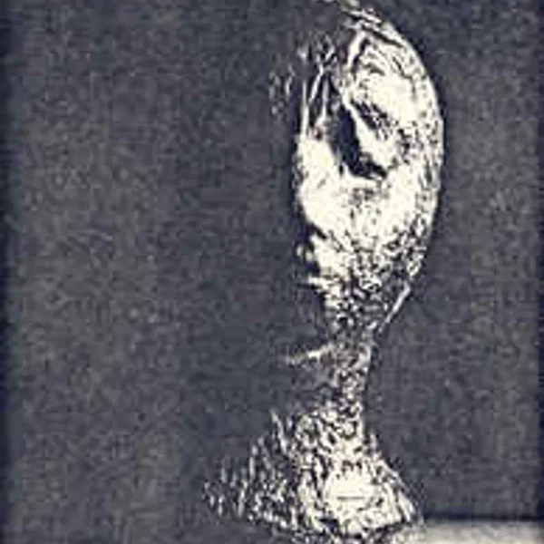Head