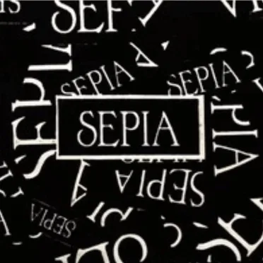 輪廻/SAD SONG by SEPIA - album cover