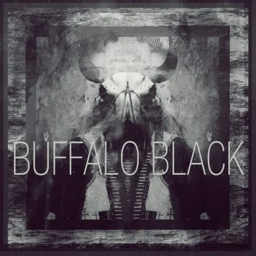 Buffalo Black LP by Buffalo Black - album cover