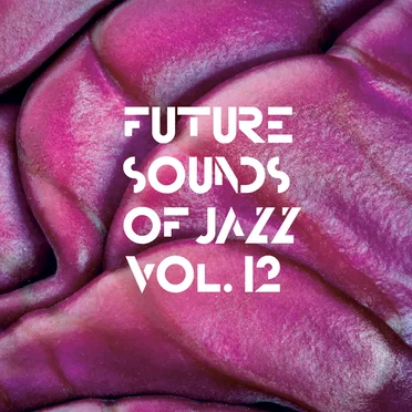 Future Sounds of Jazz, Volume 12 by Various Artists - album cover