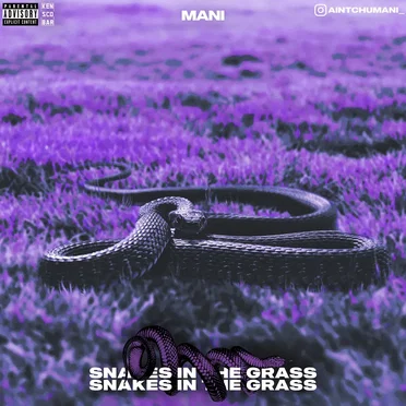 Snakes in the Grass by Mani - album cover