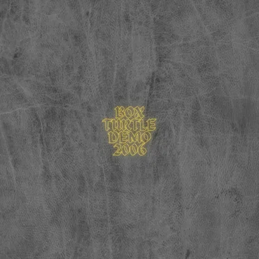 Box Turtle, Magnificent Isn't She (2006 Demo)