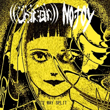 Split Album