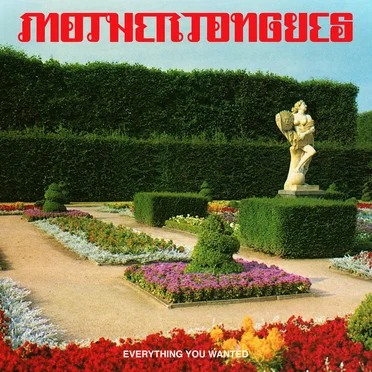 Everything You Wanted by Mother Tongues - album cover
