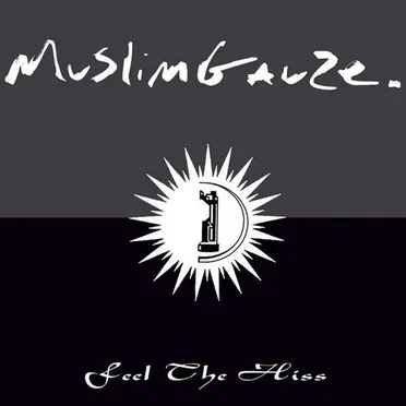 Zilver / Feel the Hiss