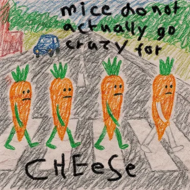 mice do not actually go crazy for cheese