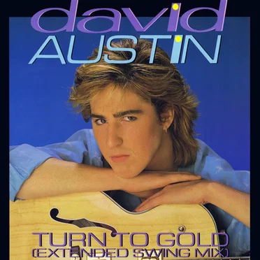 Turn To Gold by David Austin - album cover