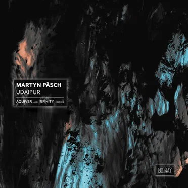 Udaipur by Martyn Päsch - album cover