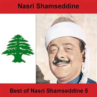نصري شمس الدين
