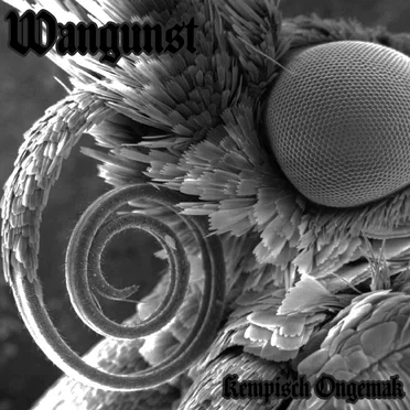 Kempisch Ongemak by Wangunst - album cover