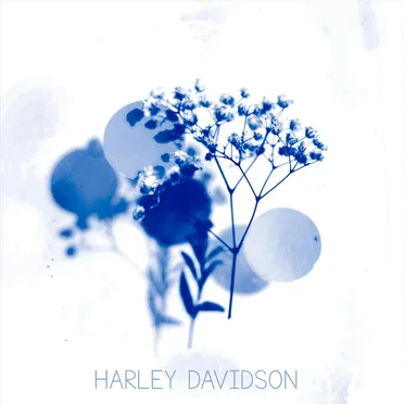 Harley Davidson