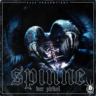 Spinne