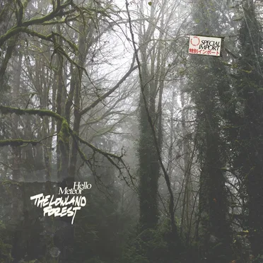 The Lowland Forest