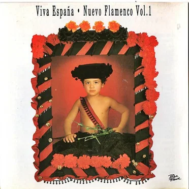 Viva España: Nuevo flamenco, vol.1 by Various Artists - album cover
