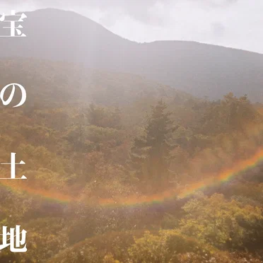 宝の土地 by chatoe - album cover