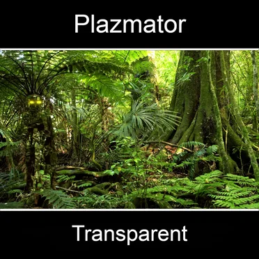 Transparent
