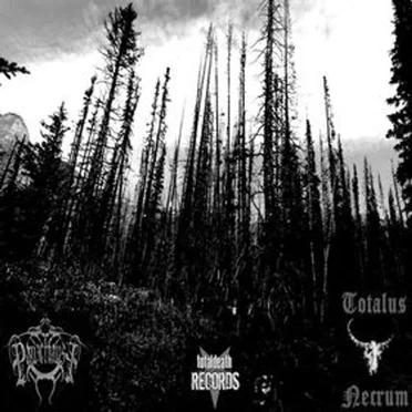 Panzerfaust / Totalus Necrum