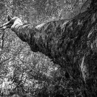 Edwards-Karlsen-Northover