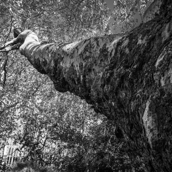 Edwards-Karlsen-Northover