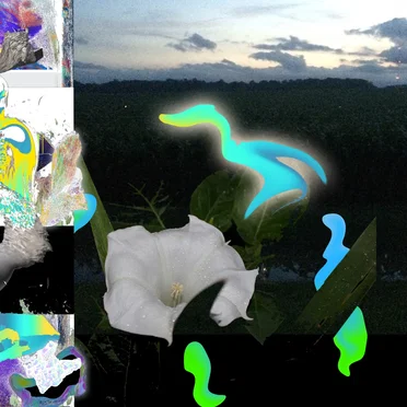 scrolls O1 ::: chorus frog