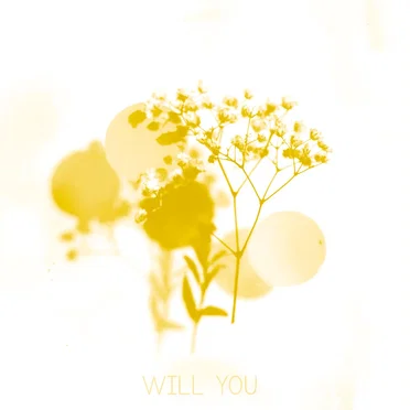 Will You by So Badly - album cover