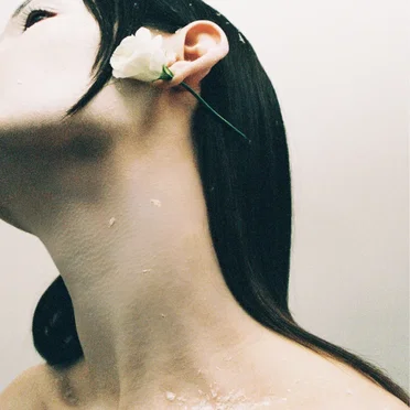 Adore You by Rosa Damask - album cover