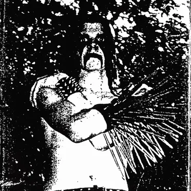Angeldestruction