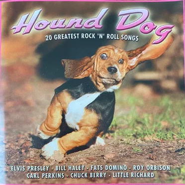 Hound Dog: 20 Greatest Rock 'n' Roll Songs by Various Artists - album cover