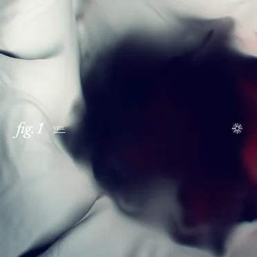 fig.1 VEIL by Diverse System - album cover