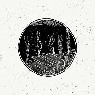 Ducks by Toodles & The Hectic Pity - album cover