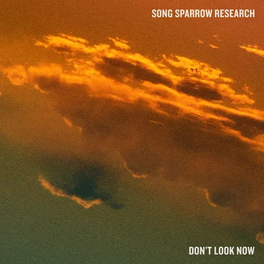 Don't Look Now