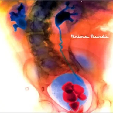 Anima Mundi by Various Artists - album cover