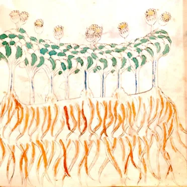 月の満ち欠けと微生物の運動 ( Phases of the moon and Microbial movement )