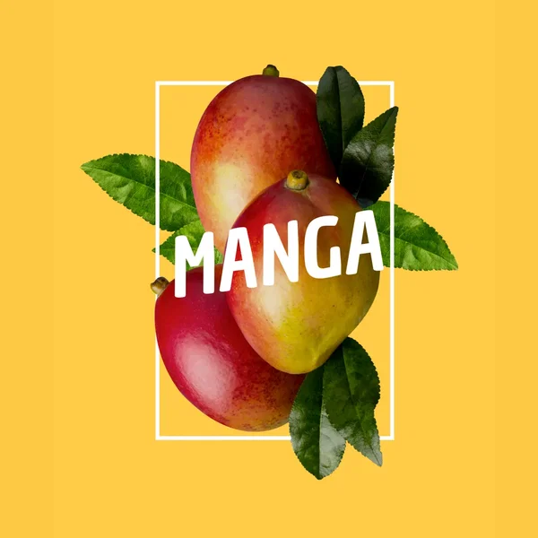 Manga