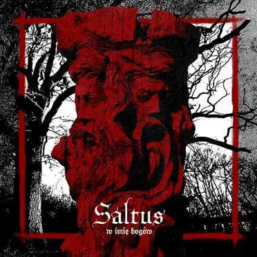 W imię bogów by Saltus - album cover