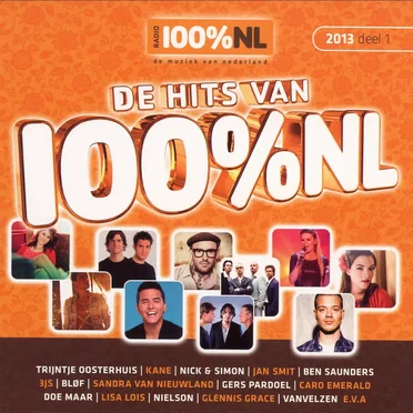 De hits van 100% NL, deel 1 (2013) by Various Artists - album cover