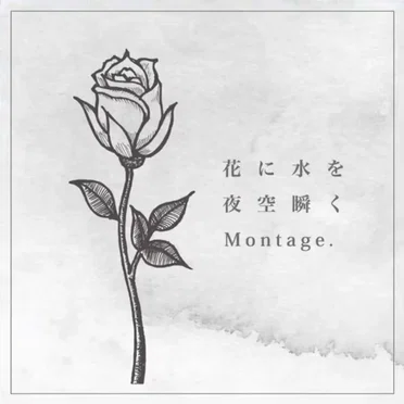 Montage.