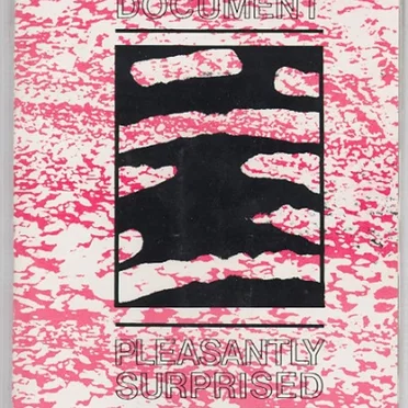 Document: Pleasantly Surprised (82 – 85) by Various Artists - album cover