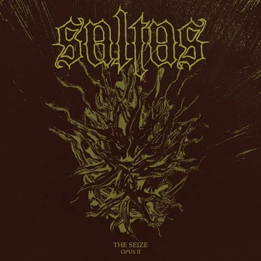 The Seize | Opus II by Saltas - album cover