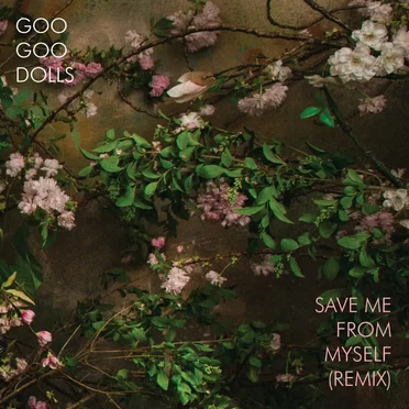 Save Me From Myself