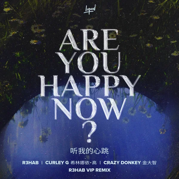 Are You Happy Now (R3HAB VIP remix)