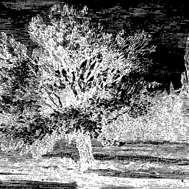 Reduction 2 Remixes